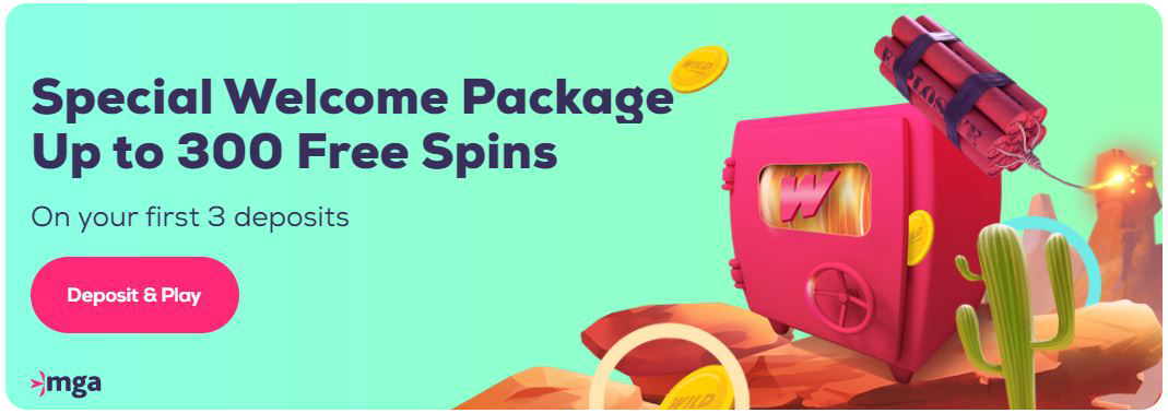 wild fortune casino bonus