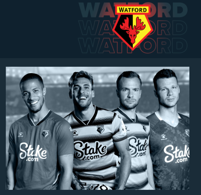 stake watford