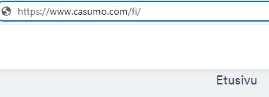 nettikasinot suomi 2