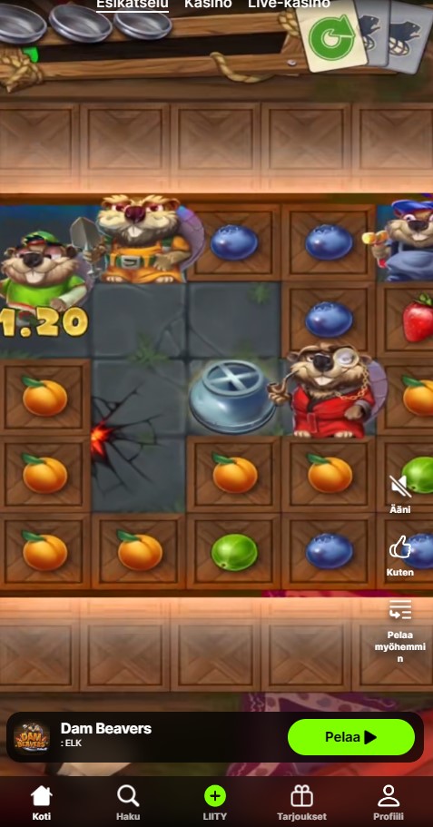 swiper kasino maksaa ja pelata